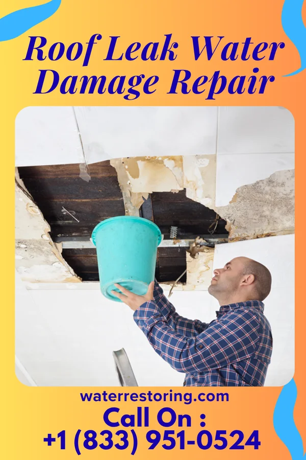 Roof Leak Water Damage Repair in Santa Clara, UT