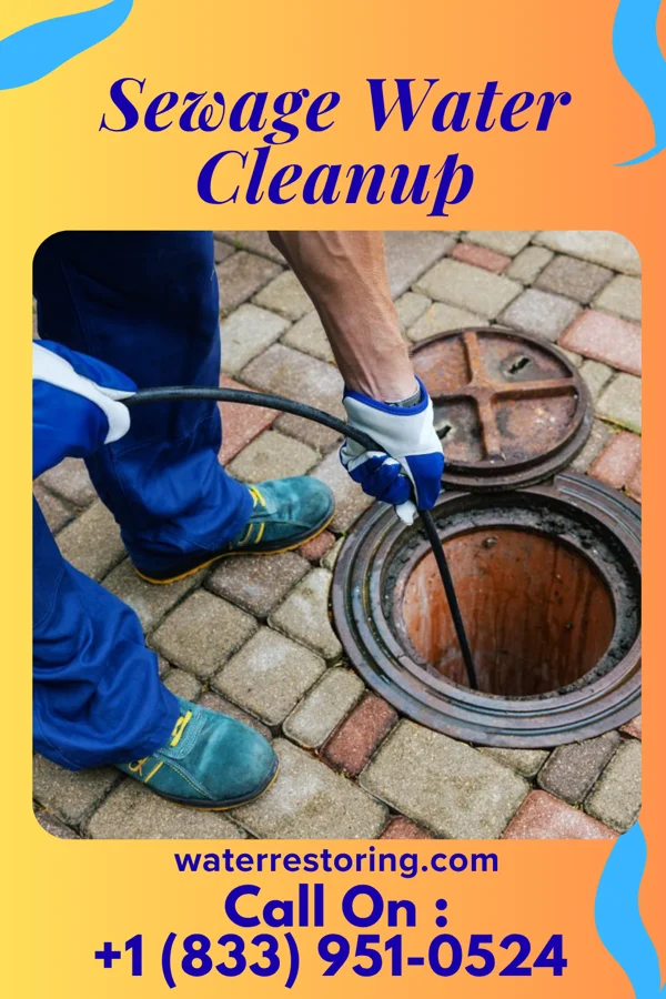 Sewage Water Cleanup in Santa Clara, UT